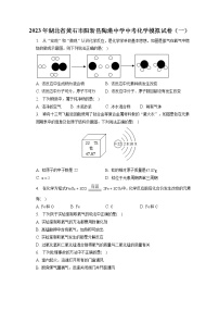 2023年湖北省黄石市阳新县陶港中学中考化学模拟试卷（一）（含答案解析）