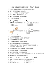 2023年湖南省郴州市资兴市中考化学一模试卷（含答案解析）