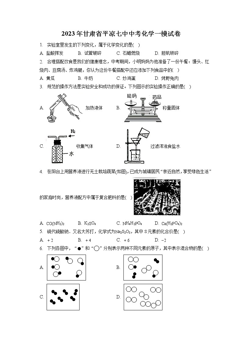 2023年甘肃省平凉七中中考化学一模试卷（含答案解析）01
