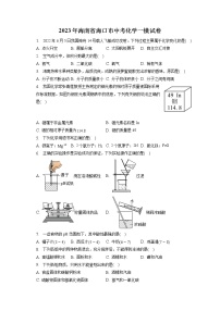 2023年海南省海口市中考化学一模试卷（含答案解析）