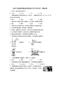 2023年海南省临高县新盈中学中考化学一模试卷（含答案解析）