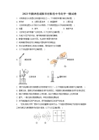 2023年陕西省咸阳市泾阳县中考化学一模试卷（含答案解析）