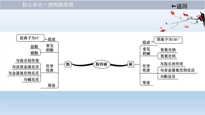 中考化学一轮单元总复习课件 第十单元　 酸和碱 (含答案)第3页