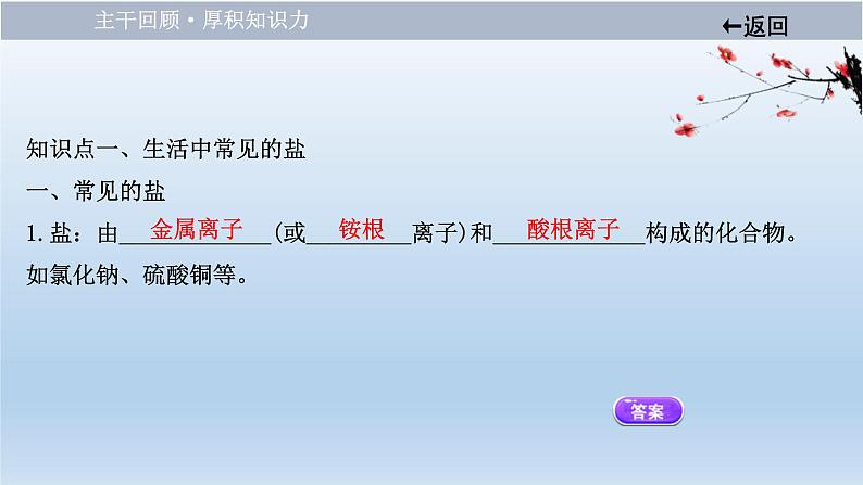 中考化学一轮单元总复习课件 第十一单元　盐　化肥 (含答案)第4页