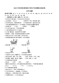 2023年河南省郑州外国语中学中考二模化学试题(含答案)