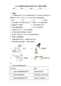 2023年陕西省咸阳市礼泉县中考二模化学试题