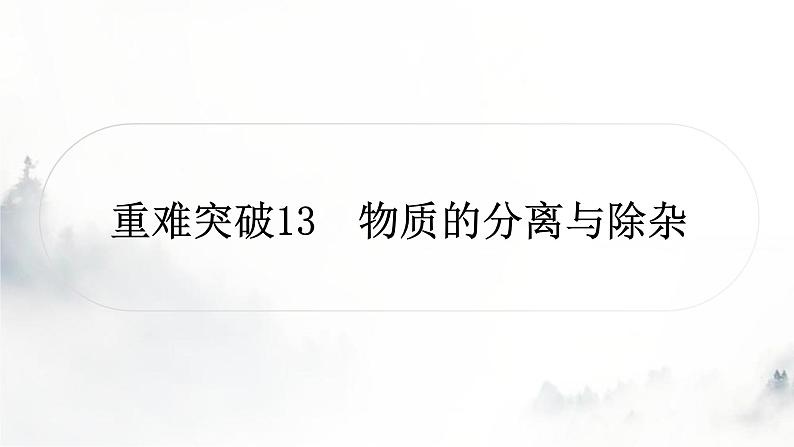 中考化学复习重难突破13物质的分离与除杂练习课件01