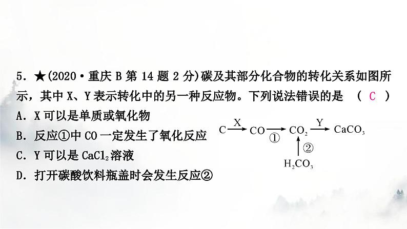 中考化学复习第六单元碳和碳的氧化物练习课件第7页