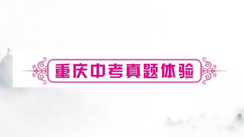 中考化学复习第十单元酸和碱第1课时常见的酸和碱练习课件第2页