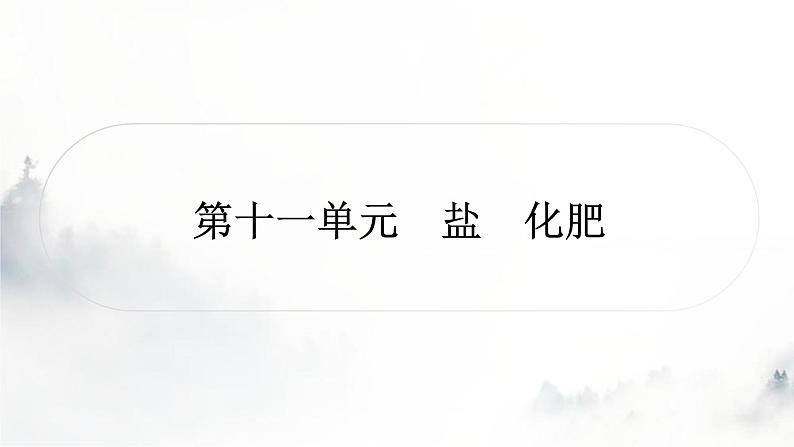 中考化学复习第十一单元盐化肥练习课件第1页