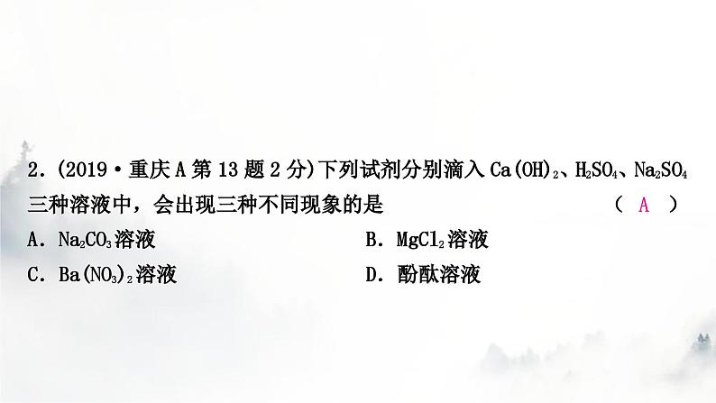 中考化学复习第十一单元盐化肥练习课件第4页