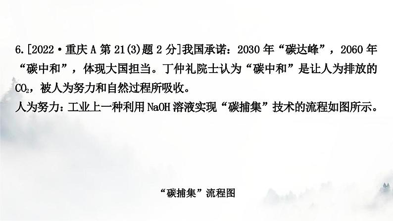 中考化学复习第十一单元盐化肥练习课件第8页