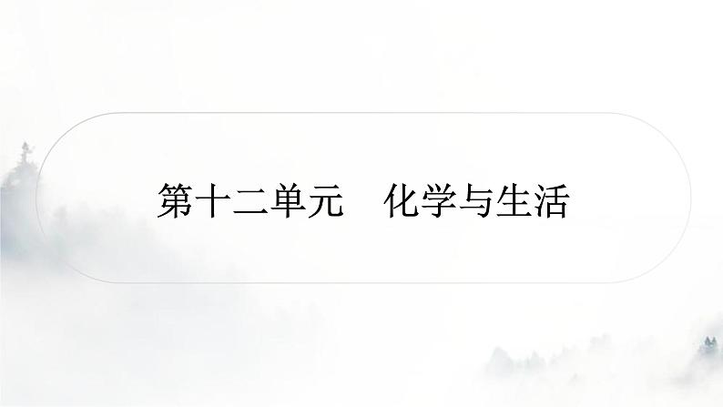 中考化学复习第十二单元化学与生活练习课件第1页