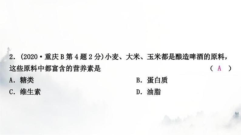 中考化学复习第十二单元化学与生活练习课件第4页