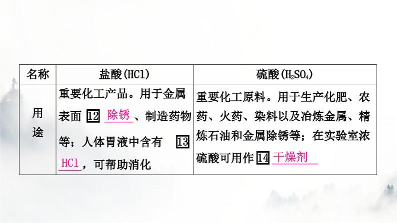 中考化学复习第十单元酸和碱第1课时常见的酸和碱教学课件第6页