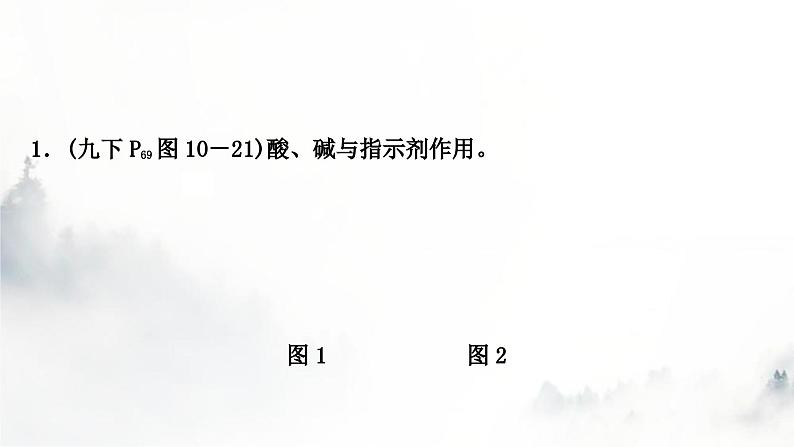 中考化学复习第十单元酸和碱第1课时常见的酸和碱教学课件第8页