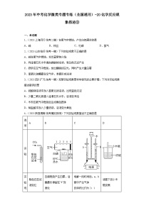 2023年中考化学微类专题专练（全国通用）-20化学反应现象描述③