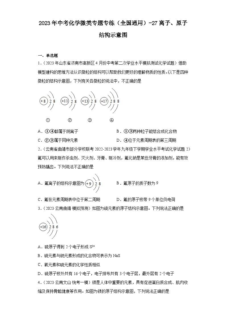 2023年中考化学微类专题专练（全国通用）-27离子、原子结构示意图01