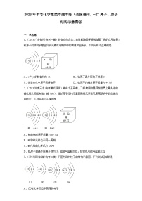 2023年中考化学微类专题专练（全国通用）-27离子、原子结构示意图②