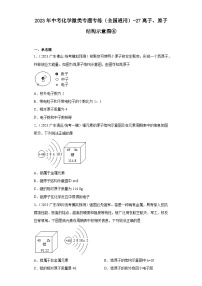 2023年中考化学微类专题专练（全国通用）-27离子、原子结构示意图④