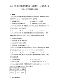 2023年中考化学微类专题专练（全国通用）-30分子式、化学式、化学方程式分析②