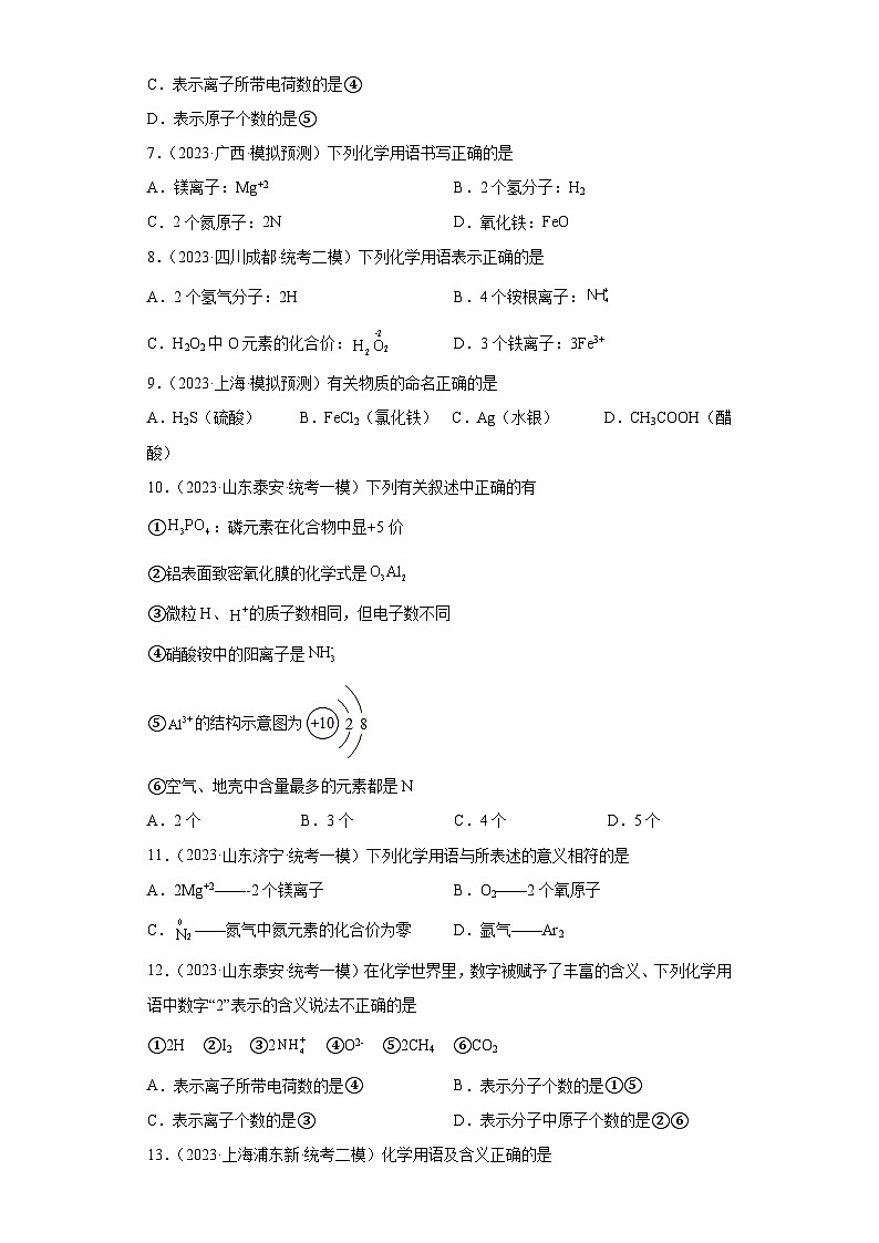 2023年中考化学微类专题专练（全国通用）-31化学用语②第2页