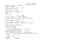 甘肃省张掖市第一中学2022-2023学年九年级下学期化学期中考试卷