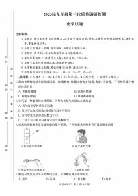 湖南省长沙市2022-2023-2 附中教育集团 初三期中第二个学期 化学试卷（含答案）