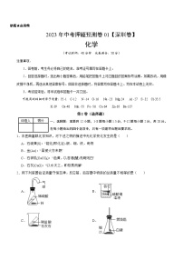 2023年中考押题预测卷01（深圳卷）-化学（考试版）A4