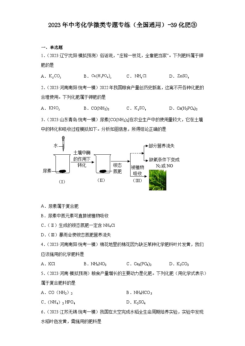2023年中考化学微类专题专练（全国通用）-39化肥③第1页