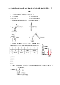 2023年湖北省武汉市蔡甸区莲花湖中学中考化学质检试卷（3月份）(含答案解析)