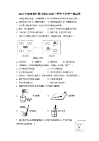 2023年湖南省怀化市洪江实验中学中考化学一模试卷(含答案解析)