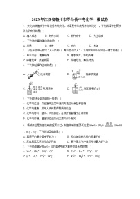 2023年江西省赣州市寻乌县中考化学一模试卷(含答案解析)