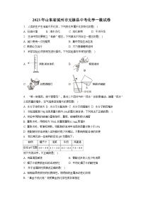 2023年山东省滨州市无棣县中考化学一模试卷(含答案解析)