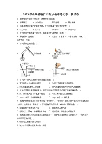 2023年山东省临沂市沂水县中考化学一模试卷(含答案解析)