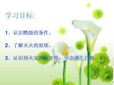 人教版（五四制）化学八年级全一册 7.1 燃烧和灭火 课件01