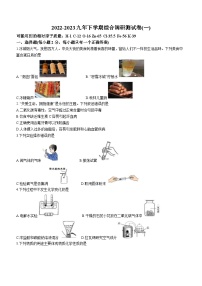 2023年黑龙江省哈尔滨市道里区中考一模化学试题（含答案）