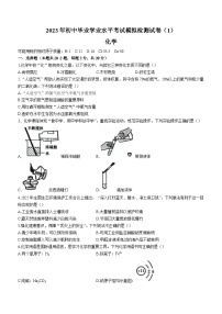 2023年湖南省张家界市永定区中考一模化学试题（含答案）