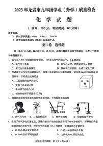 2023年福建省龙岩市中考二模化学试题及答案