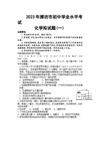 2023年山东省潍坊市初中学业水平模拟考试化学试题（一）