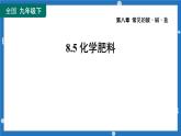 8.5化学肥料-2022-2023学年九年级化学科粤版下册课件PPT