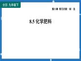 8.5化學(xué)肥料-2022-2023學(xué)年九年級化學(xué)科粵版下冊課件PPT