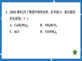 8.5化学肥料-2022-2023学年九年级化学科粤版下册课件PPT