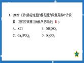 8.5化学肥料-2022-2023学年九年级化学科粤版下册课件PPT