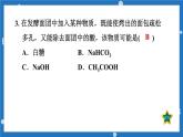 8.4 常见的盐第1课时课件-2022-2023学年九年级化学科粤版下册