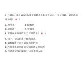 第6章溶解現(xiàn)象復(fù)習(xí)課件—2022-2023學(xué)年九年級(jí)化學(xué)滬教版（全國(guó)）下冊(cè)