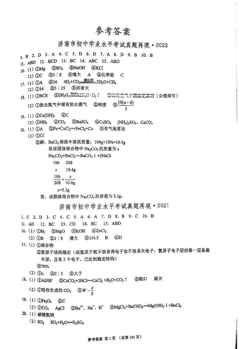 2023版济南中考211化学济南专版答案第1页