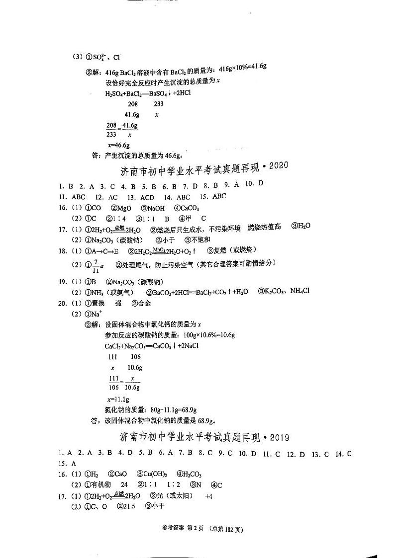 2023版济南中考211化学济南专版答案第2页