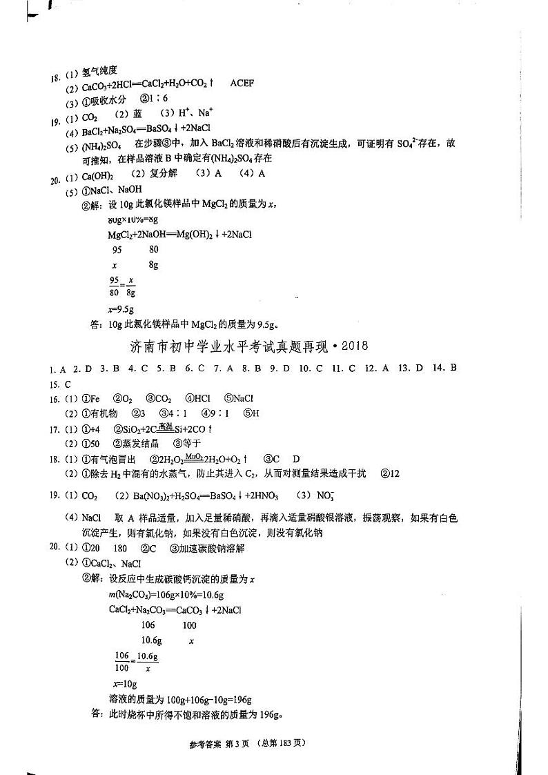 2023版济南中考211化学济南专版答案第3页