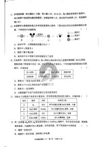 2023版济南中考211化学济南专版 10